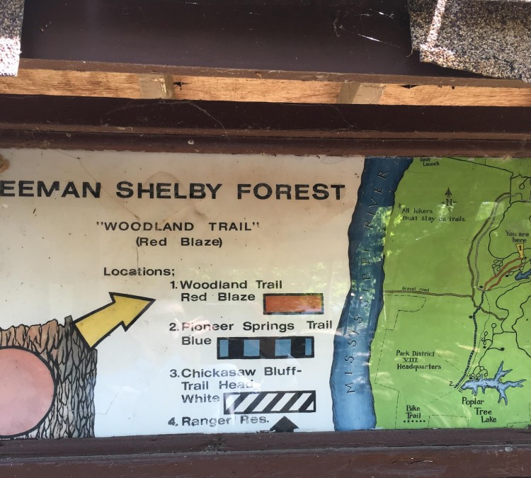 Meeman-Shelby Forest State Park, Nature Center (Millington,&nbspTN)